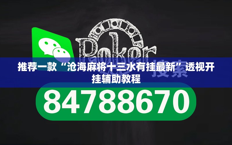 推荐一款“沧海麻将十三水有挂最新	”透视开挂辅助教程