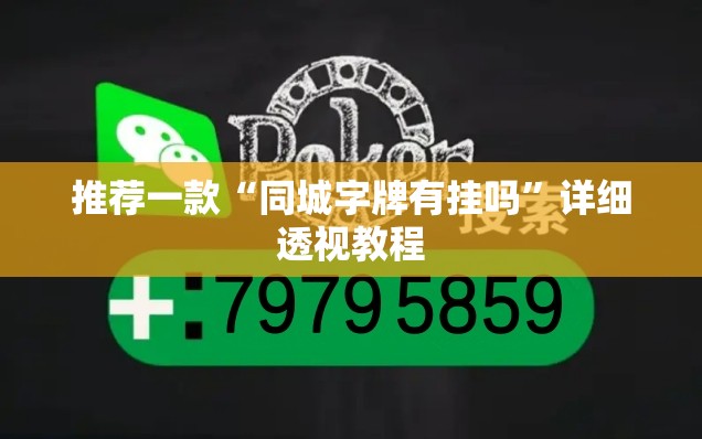 推荐一款“同城字牌有挂吗	”详细透视教程